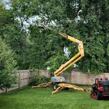 Best Hedge Trimming  in Wilmington, NC