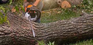Best Aeration Services  in Wilmington, NC